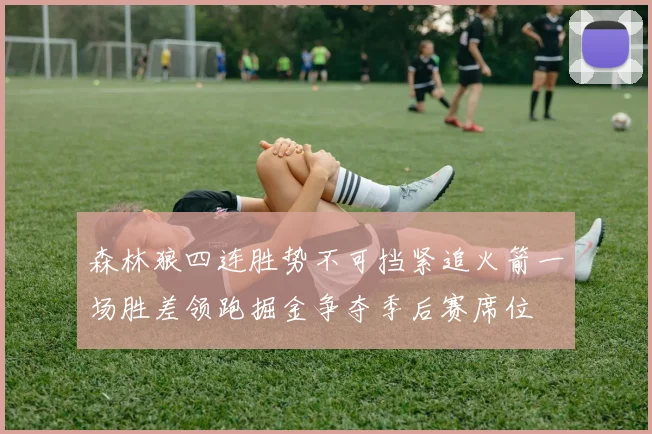 森林狼四连胜势不可挡紧追火箭一场胜差领跑掘金争夺季后赛席位